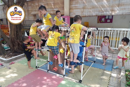 Đu Xà Có Tác Dụng Gì? Lợi Ích Bất Ngờ Cho Sức Khỏe Và Phát Triển Thể Chất